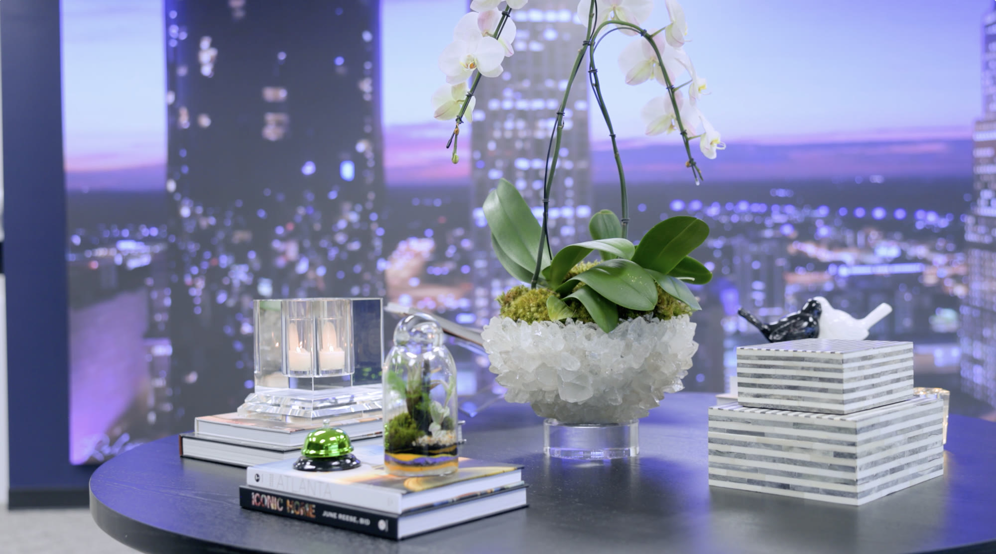 Orchid and books on a navy table